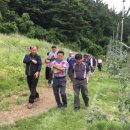 김기영농장 이미지