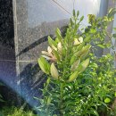 성균관로14길 이미지