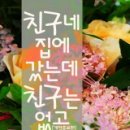 친구네집