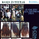 헤어라운지 Daum카페