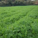 온평 마을회관 이미지