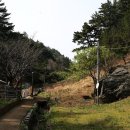 행남농장 Daum카페