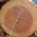 금곡마을 이미지