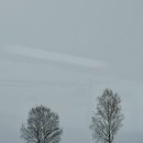 이레카정비센타 | 삿포로 비에이 버스 투어 12월 인디고트래블 이레가이드 내돈내산후기 :: 크리스마스트리 사진 코디 꿀팁