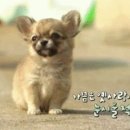 보리콩이네