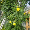 청도자동차공업사 이미지