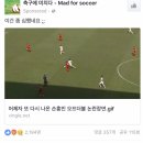 손흥민 쉴드쳐주는 정대세.facebook 이미지