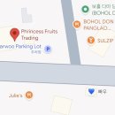 P-6304 | 필리핀 보홀,알로나비치과일가게,두리안,망고스틴,후기