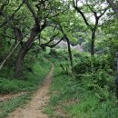 수안산성 Daum카페