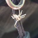 사시골천 이미지