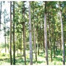 성산교회 앞 버스정류장 이미지