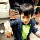 유필학원 | 유필 영어학원 블로그에 올리는 할로윈 파티 이야기! (&#39;페이스 &amp; 바디페인팅&#39;편) &#39;Halloween Party...