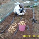 동혜농장 이미지