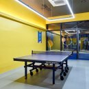 탁구장 이미지