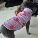 라우프독 | [2025 메가주 킨텍스] 별 볼일 없는 후기 + 아임수수 발열 패딩 득템