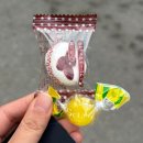 [석정동술집] 귀여운 곰이 반겨주는 안성 새벽곰, 치즈불닭과 날치알 주먹밥의 조합 후기