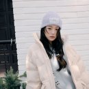 로라 이미지