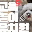수원반려견유치원 반려견호텔 오십케이 네이버블로그