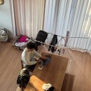 그림책 꽃 피었네 | 제주 아이랑 감성 숙소 애월 [누구하나] 내돈내산 강력추천