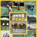 더존비앤씨티(강아지숲)/베이커리 선 | 강아지숲 ‘네이처풀 미드시즌’ 사전 예매 15일 오픈