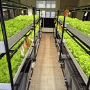 새말초등학교 | 인천 새말초등학교- AI 스마트 가든 무빙랙형 설치 후기