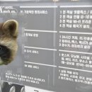 호텔노크온