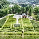 고요목장 이미지