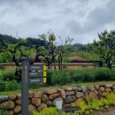 봉하마을 진영생태문화공원 이미지