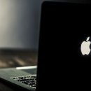 내장터미널 이미지