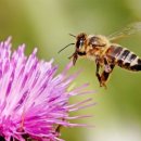 서당골농장 이미지