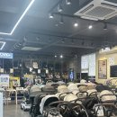 신생사 | 울산 베이비하우스 내돈내산 브라이텍스 듀얼픽스 프로 구매 후기