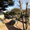 안국사지 이미지