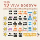 비바도기 이미지