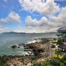 하우스마루 이미지