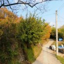 미현리농장 이미지