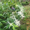 (주)나무재 이미지