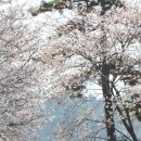 두륜중학교 이미지