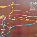 유명산 이미지