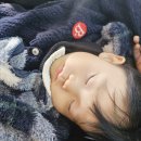 아이슐레어린이집 이미지