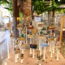 컴프하우스 이미지