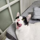 유석동물병원 이미지