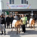 기증축산 이미지