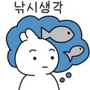 한방호 이미지