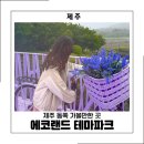 제주 동쪽 가볼만한곳 아이와 제주 에코랜드 테마파크 비 오는 날에도 괜찮았던 후기