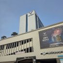 용궁노래방 | 여수여행 숙소 추천 여수 베네치아호텔 풀스위트 프리미어테라스 401호 후기