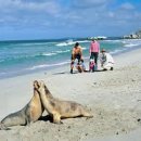 아일랜드 이미지