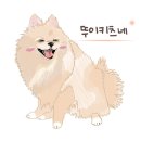 버블리독 이미지