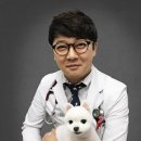 VIP 반려동물 암센터 경향신문