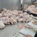 (주)에스에이치 이미지