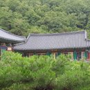 모산길 티스토리